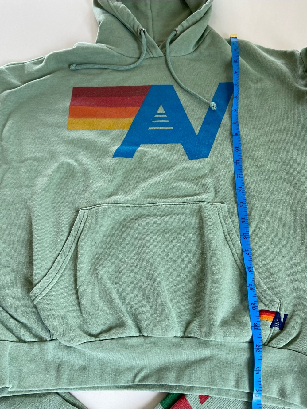 AVIATOR NATION SET Hoodie (Small) + Logo Sweats (XS) in Sage Green 🌈 - Picture 12 of 17
